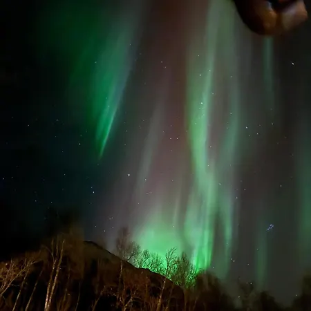 For 4 In Nature With Mountain View, 3 Km From Apartament *