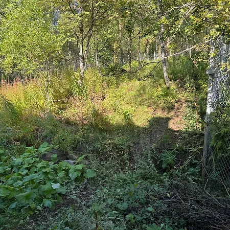 Apartament For 4 In Nature With Mountain View, 3 Km From Oldervik