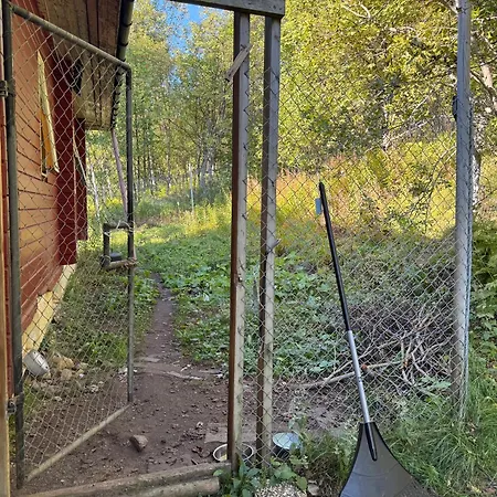 For 4 In Nature With Mountain View, 3 Km From * Oldervik