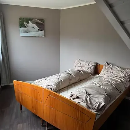 Apartament For 4 In Nature With Mountain View, 3 Km From *