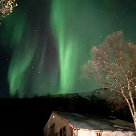 Apartament For 4 In Nature With Mountain View, 3 Km From